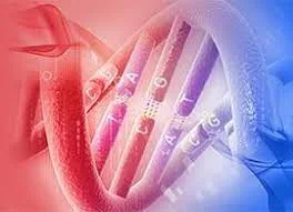 Oligos_and_Probes image